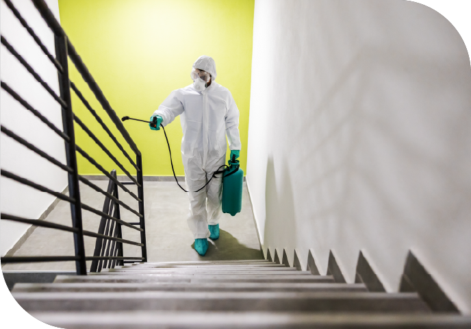 disinfection section